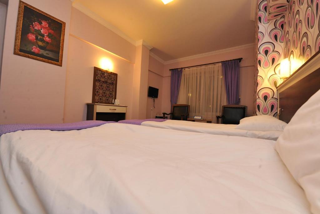 Basak Termal Hotel Kızılcahamam Rom bilde
